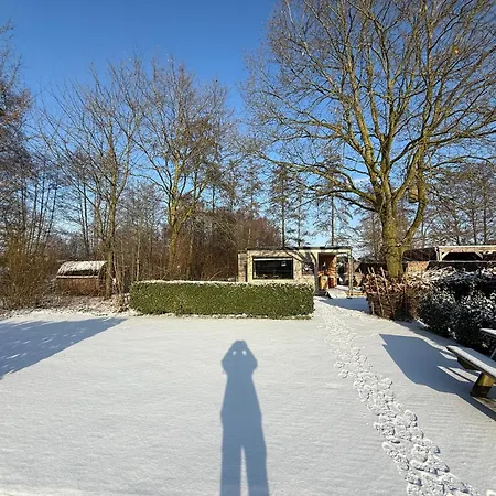 Buitenverwachting