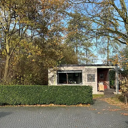 Buitenverwachting *