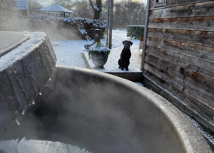 Σπίτι διακοπών Buitenverwachting *